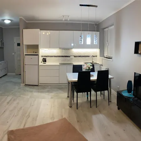 Popiel Apartment Torun Exterior photo